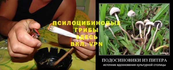 дмт Алзамай