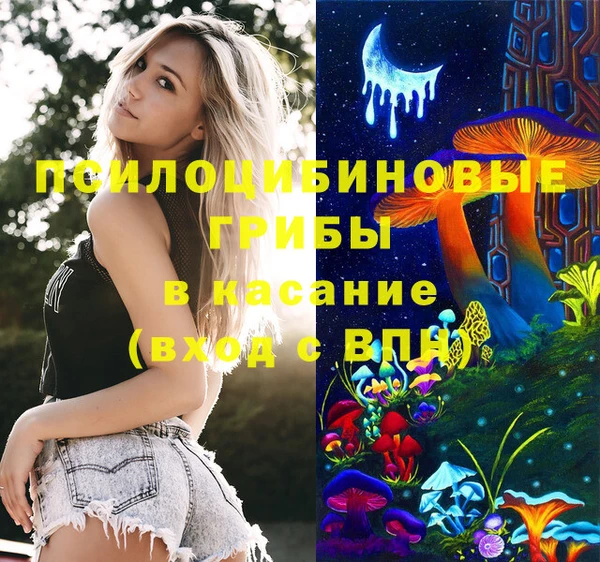 дмт Алзамай