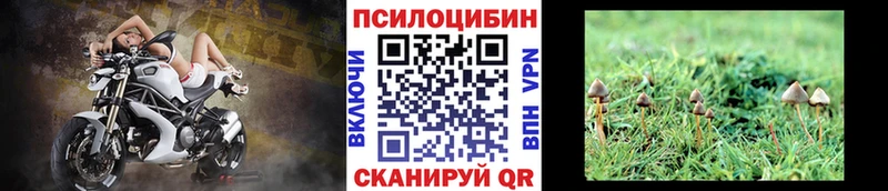 как найти закладки  Спас-Клепики  Псилоцибиновые грибы MAGIC MUSHROOMS 